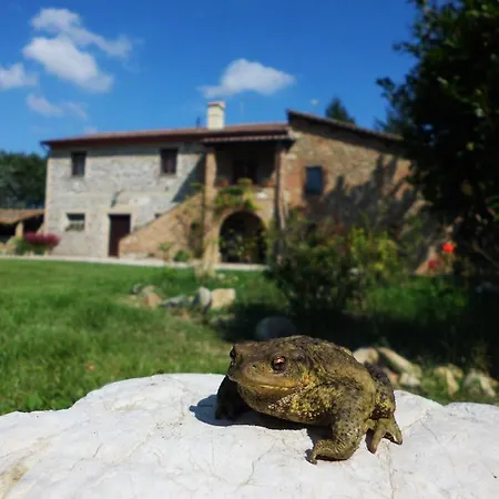 Ferienhaus Casale Del Colle | Perugia *